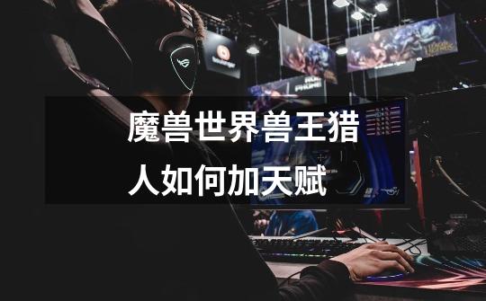 魔兽世界兽王猎人如何加天赋-第1张-游戏信息-龙启网