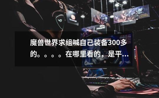 魔兽世界求组喊自己装备300多的。。。。在哪里看的，是平均值吗-第1张-游戏信息-龙启网