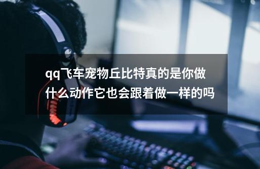 qq飞车宠物丘比特真的是你做什么动作它也会跟着做一样的吗-第1张-游戏信息-龙启网