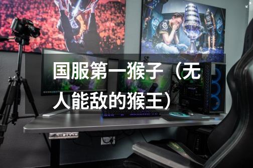 国服第一猴子(无人能敌的猴王)-第1张-游戏信息-龙启网