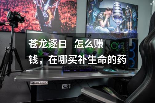 苍龙逐日 怎么赚钱,在哪买补生命的药-第1张-游戏信息-龙启网