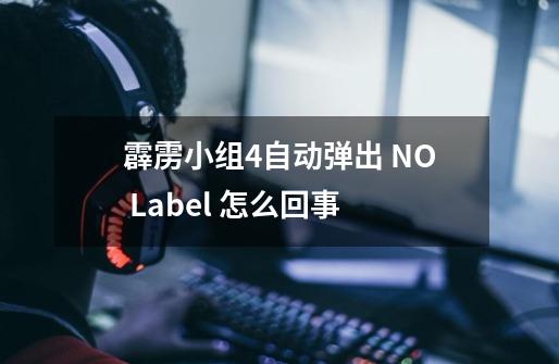 霹雳小组4自动弹出 NO Label 怎么回事-第1张-游戏信息-龙启网