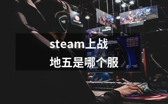 steam上战地五是哪个服-第1张-游戏信息-龙启网