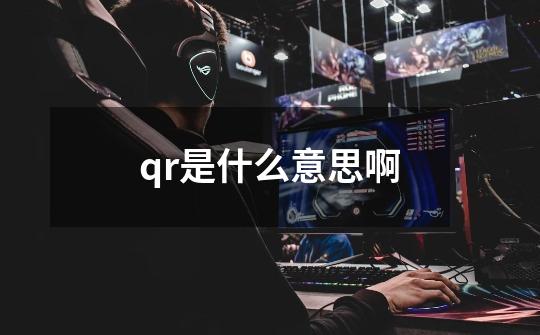 qr是什么意思啊-第1张-游戏信息-龙启网