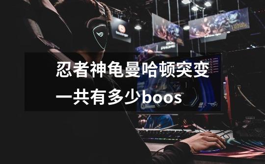 忍者神龟曼哈顿突变一共有多少boos-第1张-游戏信息-龙启网