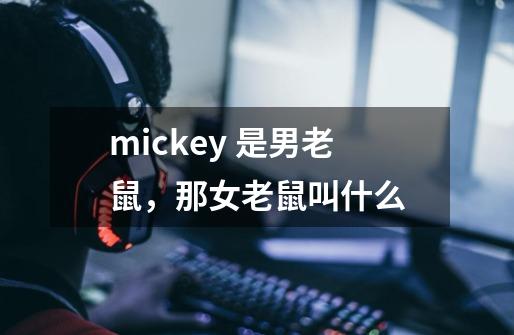 mickey 是男老鼠,那女老鼠叫什么-第1张-游戏信息-龙启网