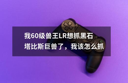 我60级兽王LR想抓黑石塔比斯巨兽了，我该怎么抓-第1张-游戏信息-龙启网