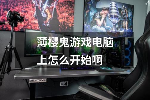 薄樱鬼游戏电脑上怎么开始啊-第1张-游戏信息-龙启网
