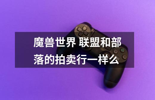 魔兽世界 联盟和部落的拍卖行一样么-第1张-游戏信息-龙启网