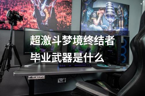 超激斗梦境终结者毕业武器是什么-第1张-游戏信息-龙启网