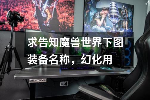求告知魔兽世界下图装备名称，幻化用-第1张-游戏信息-龙启网