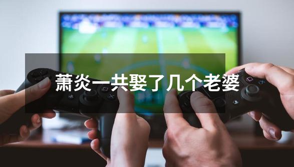 萧炎一共娶了几个老婆-第1张-游戏信息-龙启网