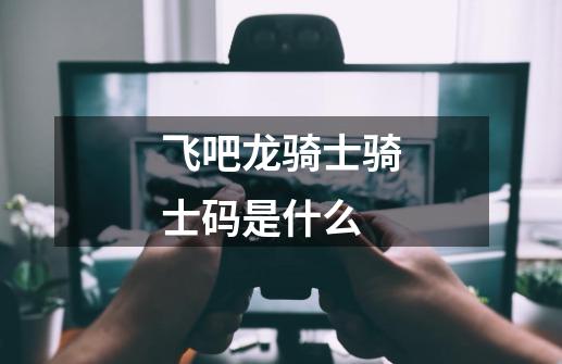 飞吧龙骑士骑士码是什么-第1张-游戏信息-龙启网