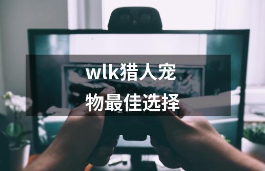 wlk猎人宠物最佳选择-第1张-游戏信息-龙启网