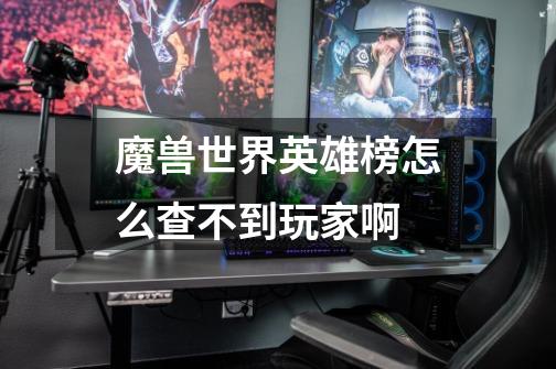 魔兽世界英雄榜怎么查不到玩家啊-第1张-游戏信息-龙启网