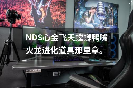 NDS心金飞天螳螂鸭嘴火龙进化道具那里拿。-第1张-游戏信息-龙启网