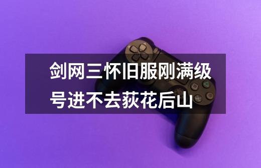 剑网三怀旧服刚满级号进不去荻花后山-第1张-游戏信息-龙启网