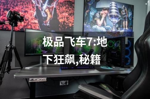 极品飞车7:地下狂飙,秘籍-第1张-游戏信息-龙启网