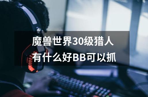 魔兽世界30级猎人有什么好BB可以抓-第1张-游戏信息-龙启网