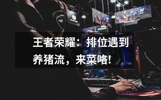 王者荣耀:排位遇到养猪流,来菜咯!-第1张-游戏信息-龙启网