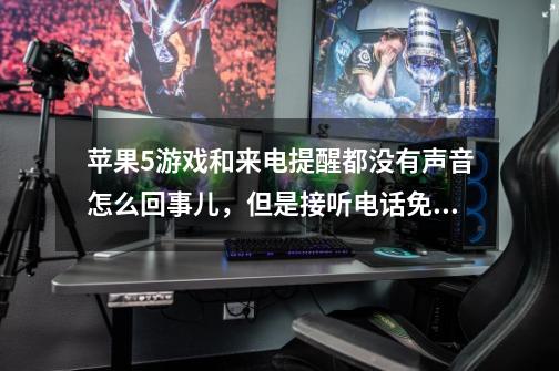 苹果5游戏和来电提醒都没有声音怎么回事儿,但是接听电话免提有声音。是系统问题还是手机硬件问题-第1张-游戏信息-龙启网