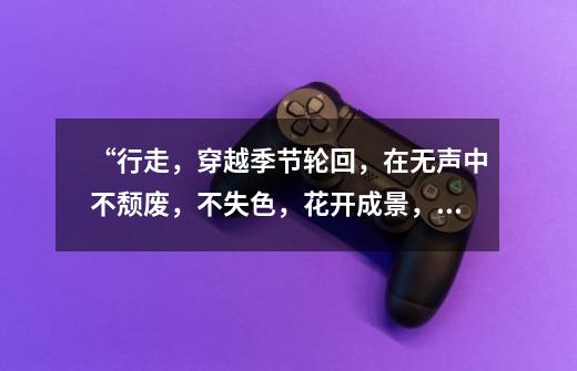 “行走,穿越季节轮回,在无声中不颓废,不失色,花开成景,花落成诗”是什么意思-第1张-游戏信息-龙启网