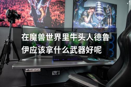 在魔兽世界里牛头人德鲁伊应该拿什么武器好呢-第1张-游戏信息-龙启网