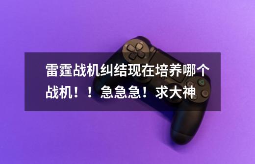 雷霆战机纠结现在培养哪个战机!!急急急!求大神-第1张-游戏信息-龙启网