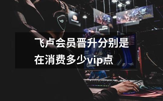 飞卢会员晋升分别是在消费多少vip点-第1张-游戏信息-龙启网