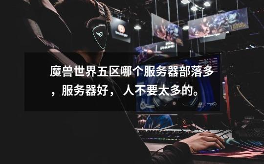 魔兽世界五区哪个服务器部落多，服务器好， 人不要太多的。-第1张-游戏信息-龙启网