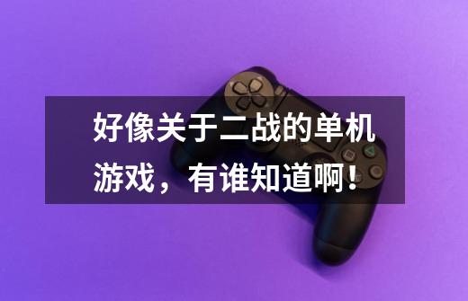 好像关于二战的单机游戏，有谁知道啊！-第1张-游戏信息-龙启网