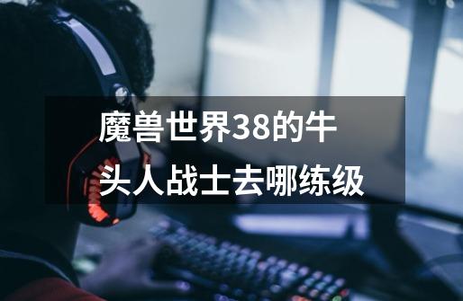 魔兽世界38的牛头人战士去哪练级-第1张-游戏信息-龙启网