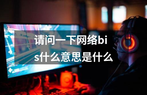请问一下网络bis什么意思是什么-第1张-游戏信息-龙启网