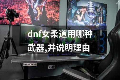 dnf女柔道用哪种武器,并说明理由-第1张-游戏信息-龙启网