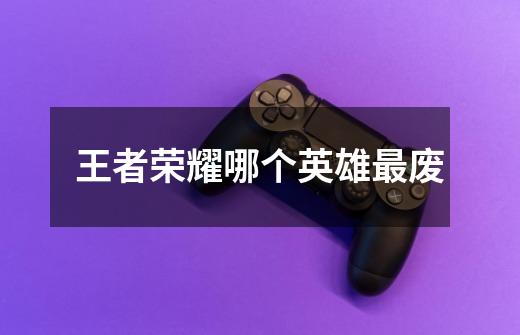 王者荣耀哪个英雄最废-第1张-游戏信息-龙启网