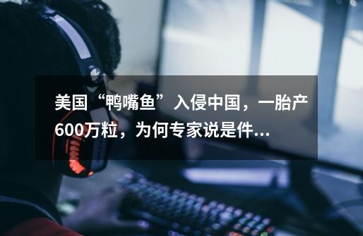 美国“鸭嘴鱼”入侵中国,一胎产600万粒,为何专家说是件好事-第1张-游戏信息-龙启网