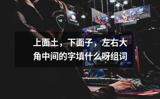 上面土,下面子,左右大角中间的字填什么呀组词-第1张-游戏信息-龙启网