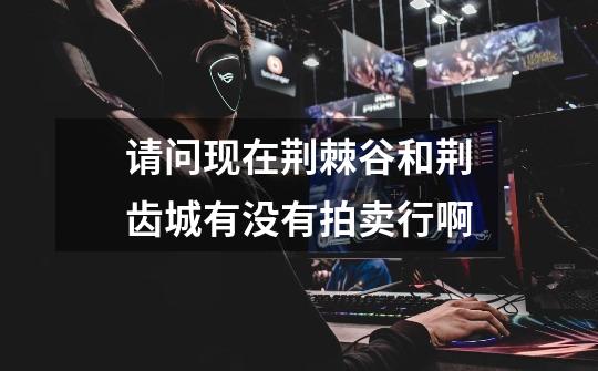 请问现在荆棘谷和荆齿城有没有拍卖行啊-第1张-游戏信息-龙启网