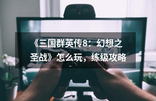 《三国群英传8:幻想之圣战》怎么玩,练级攻略-第1张-游戏信息-龙启网