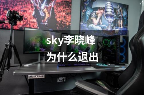 sky李晓峰为什么退出-第1张-游戏信息-龙启网