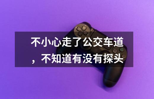 不小心走了公交车道，不知道有没有探头-第1张-游戏信息-龙启网