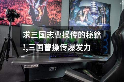 求三国志曹操传的秘籍!,三国曹操传爆发力-第1张-游戏信息-龙启网