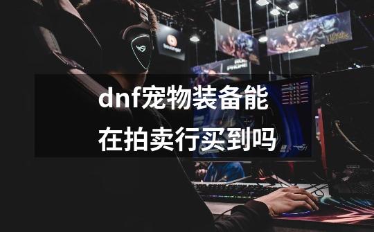 dnf宠物装备能在拍卖行买到吗-第1张-游戏信息-龙启网