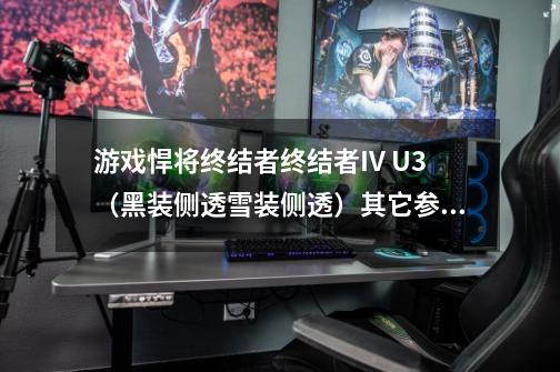 游戏悍将终结者终结者IV U3(黑装侧透雪装侧透)其它参数-第1张-游戏信息-龙启网