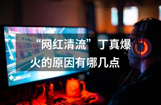 “网红清流”丁真爆火的原因有哪几点-第1张-游戏信息-龙启网