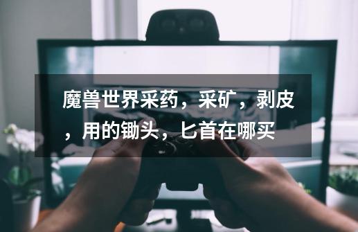 魔兽世界采药，采矿，剥皮，用的锄头，匕首在哪买-第1张-游戏信息-龙启网