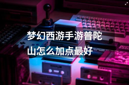 梦幻西游手游普陀山怎么加点最好-第1张-游戏信息-龙启网