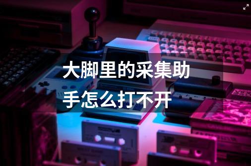 大脚里的采集助手怎么打不开-第1张-游戏信息-龙启网