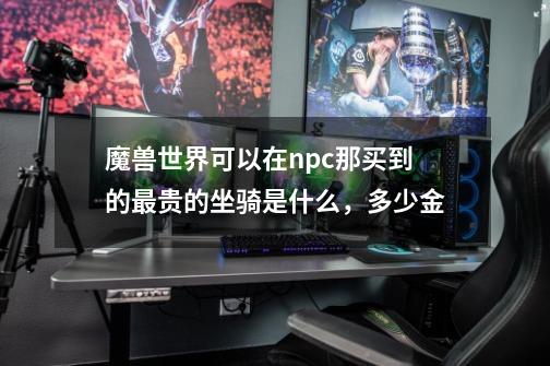 魔兽世界可以在npc那买到的最贵的坐骑是什么,多少金-第1张-游戏信息-龙启网