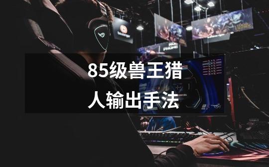 85级兽王猎人输出手法-第1张-游戏信息-龙启网